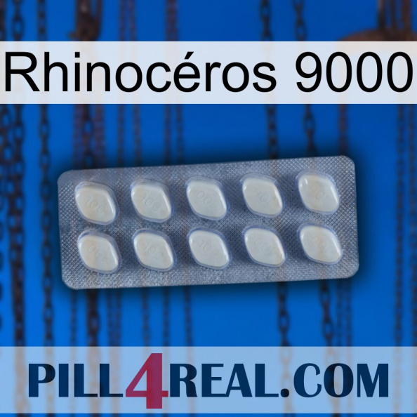 Rhinocéros 9000 08.jpg